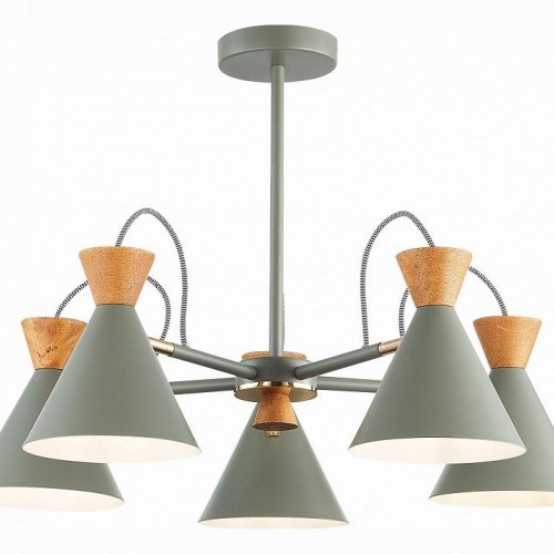 Потолочная люстра Evoluce Modica SLE125112-05 Потолочная люстра Evoluce Modica SLE125112-05