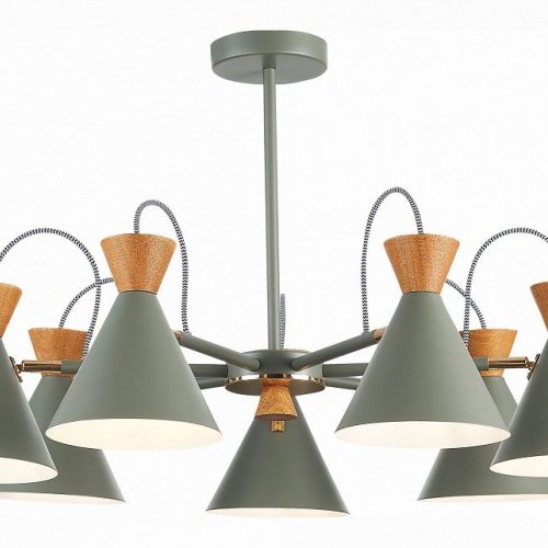 Потолочная люстра Evoluce Modica SLE125112-07