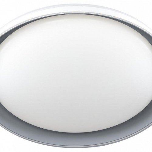 Накладной светильник Citilux MEGA CL752451G