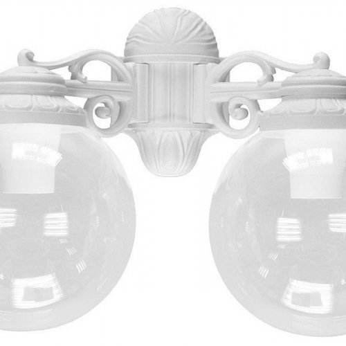 Настенный светильник уличный Fumagalli Globe 250 G25.141.000.WXE27DN