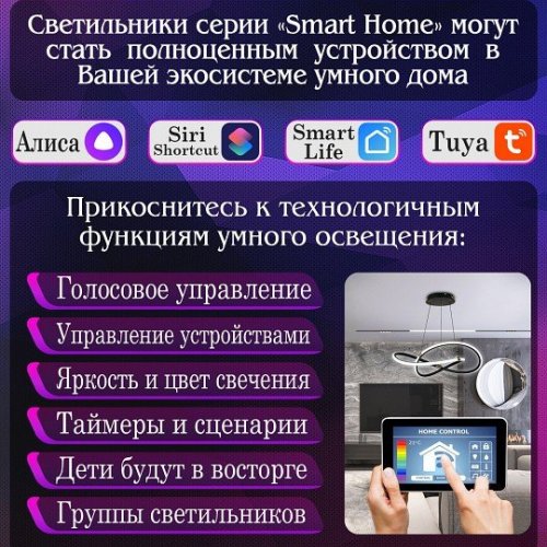 Потолочная люстра Natali Kovaltseva Holder LED SMART 84010