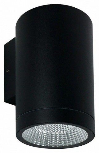 Накладной светильник Arte Lamp TORCULAR A1313AL-1BK