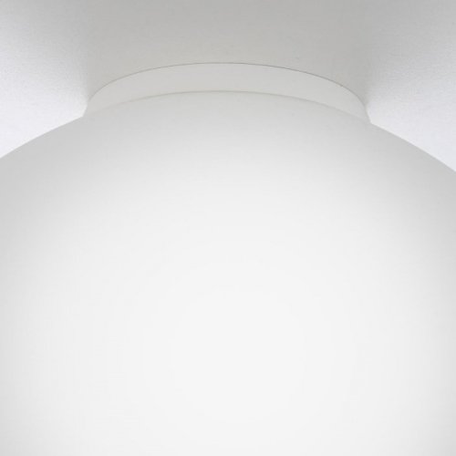 Настенно-потолочный светильник Ron CL941D25B0