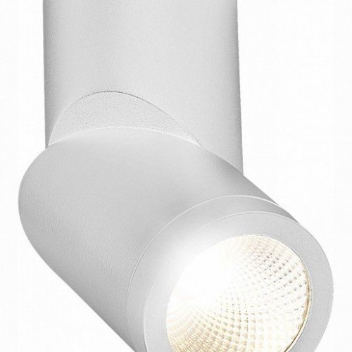 Светодиодный спот ST Luce ST650.542.10