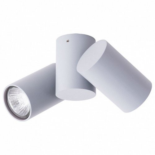 Спот Arte Lamp Gavroche A1511PL-2GY