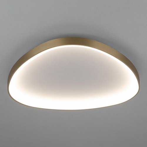 Накладной светильник Citilux GENKA SMART CL756A162