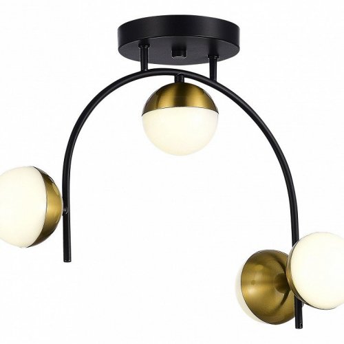 Потолочная светодиодная люстра Evoluce AARNIO SLE6500-402-04