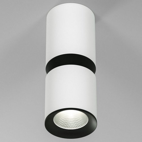 Потолочный светодиодный светильник Elektrostandard Kayo 25048/LED 12W 4000К белый/чёрный a064728