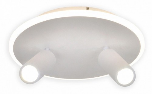Настенно-потолочный светильник Escada  20046LED 20046SMA/02LED WH