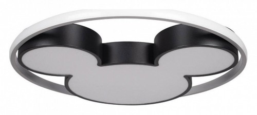 Потолочный светильник Loft IT Mike 10166