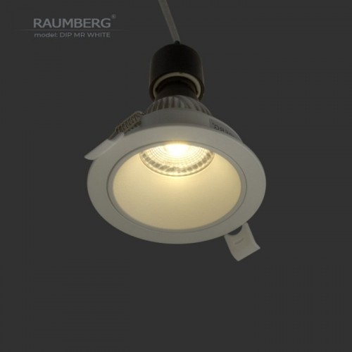 Точечный светильник  DipMRWh