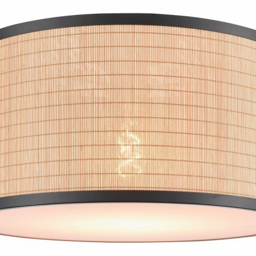 Потолочный светильник Velante 568-717-01