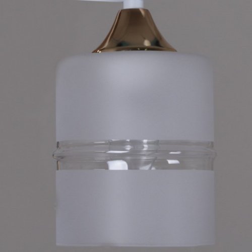 Потолочная люстра Reluce 02283-0.3-04 WT+FGD