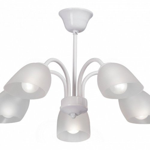 Потолочная люстра Vitaluce V3336-0/5PL Потолочная люстра Vitaluce V3336-0/5PL