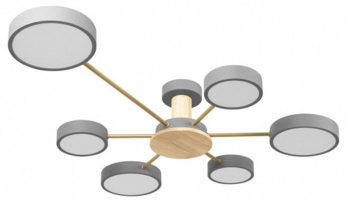 Потолочная люстра Loft IT Sunrise 10316/6 Grey