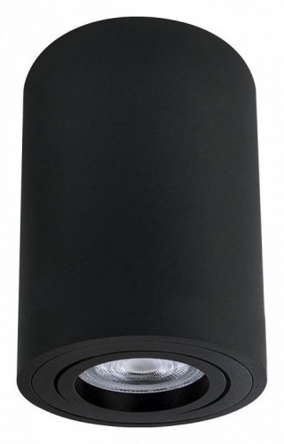 Точечный светильник Arte Lamp Sentry A1566PL-1BK