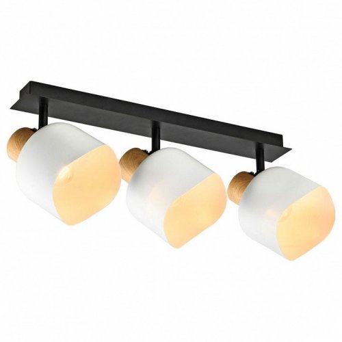 Спот Imex SP.050-53-87