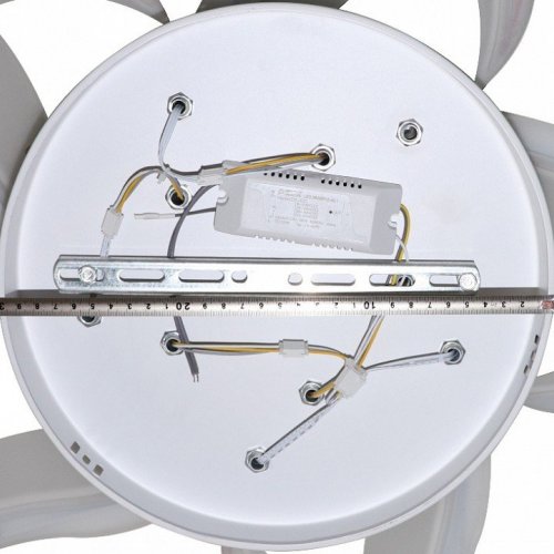 Потолочная люстра Natali Kovaltseva Smart Home LED LAMPS 81212 Потолочная люстра Natali Kovaltseva Smart Home LED LAMPS 81212