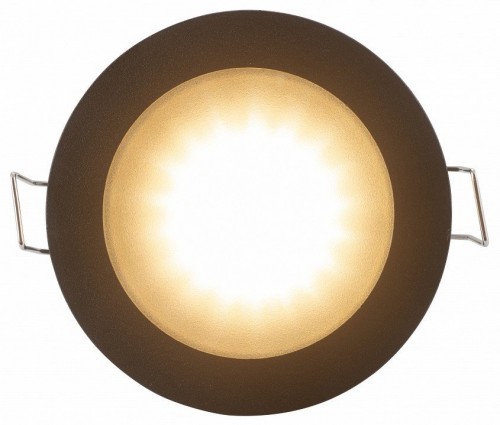 Влагозащищенный накладной светильник Denkirs DK3012-BK