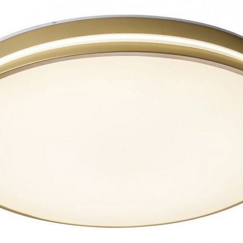 Потолочный светильник Zortes Gabby ZRS.90610.50