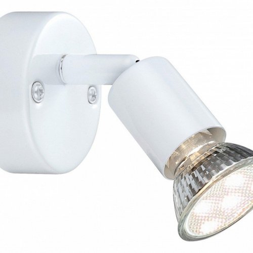 Настенно-потолочный светильник Globo Olana & Oliwa 57381-1L