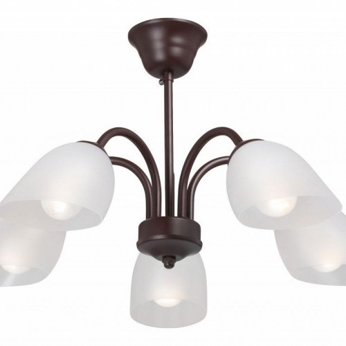 Потолочная люстра Vitaluce V3335-7/5PL