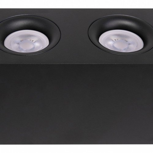 Потолочный светильник Maytoni Technical Slim C013CL-02B