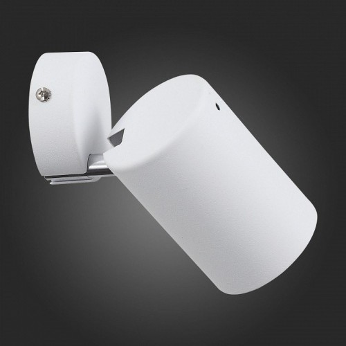 Настенно-потолочный светильник ST Luce Fanale SL597.501.01