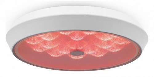 Накладной светильник Freya LED FR10012CL-L24W