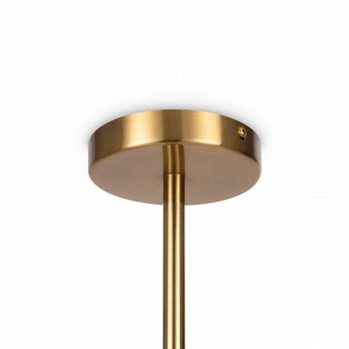 Подвесной светильник Freya Blossom FR5259PL-02BS