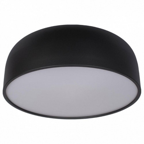 Потолочный светильник Loft IT Axel 10201/480 Black