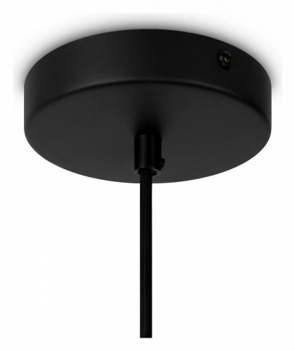 Подвесной светильник Maytoni Roots MOD195PL-01W1