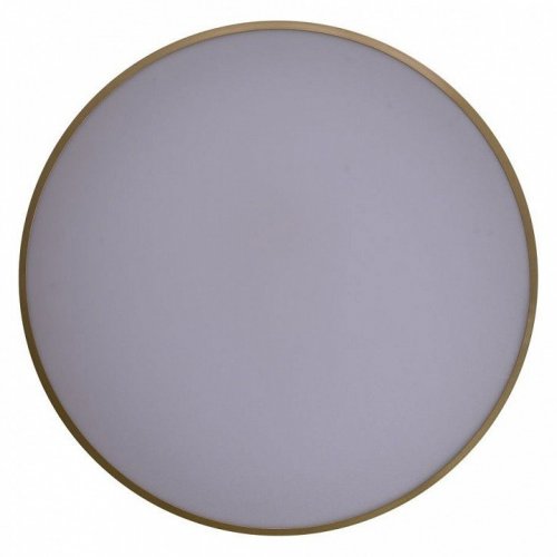 Потолочный светильник Zortes Gabby ZRS.90610.50