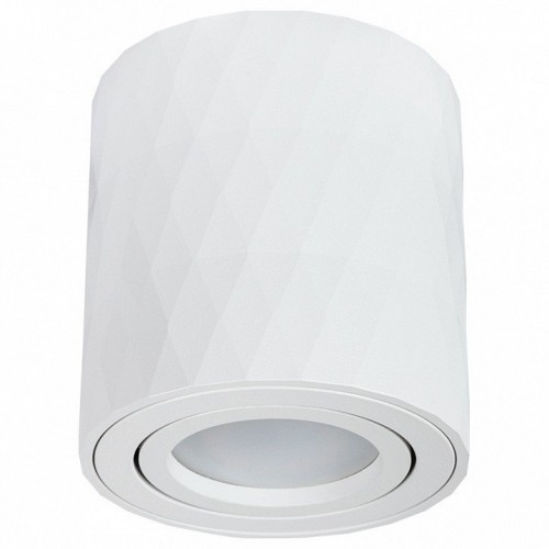 Потолочный светильник Arte Lamp Fang A5559PL-1WH