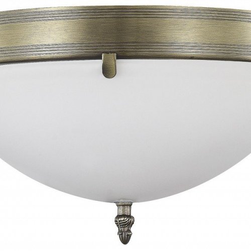 Бра MyFar Biene MR2520-2W