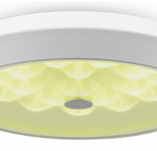 Накладной светильник Freya LED FR10012CL-L24W