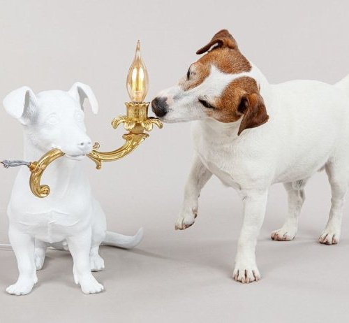 Интерьерная настольная лампа Seletti Rio lamp 14794