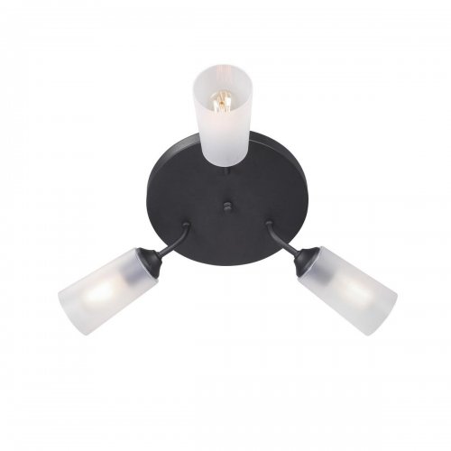 Потолочная люстра Vitaluce V3762-1/3PL