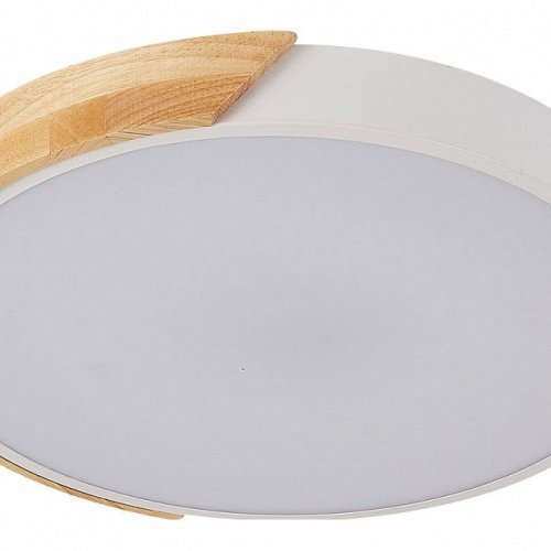 Потолочный светильник Scandinavian LED LAMPS 81181