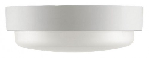 Накладной светильник Wolta  LCL04-12W-R41-6K-SBA