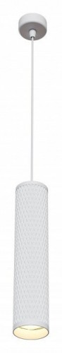 Подвесной светильник Maytoni Shelby P038PL-01W