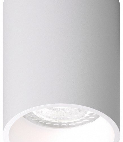 Накладной светильник Denkirs DK3110 DK3110-WH