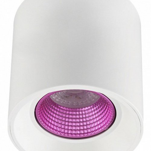 Точечный светильник Denkirs DK3090-WH+PI