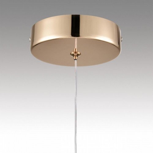 Подвесной светильник Lumion Rimini 8083/1A