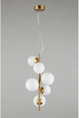 Подвесной светильник Aployt Letizia APL.314.06.06