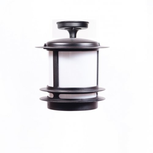 Потолочный светильник уличный Oasis Light TOKIO 68305A Bl opal Потолочный светильник уличный Oasis Light TOKIO 68305A Bl opal