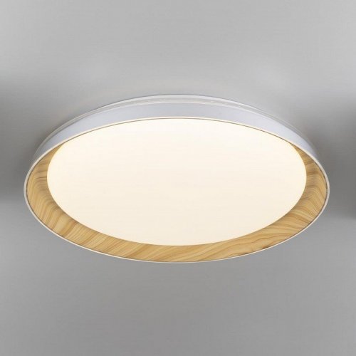 Накладной светильник Citilux MEGA CL752452G