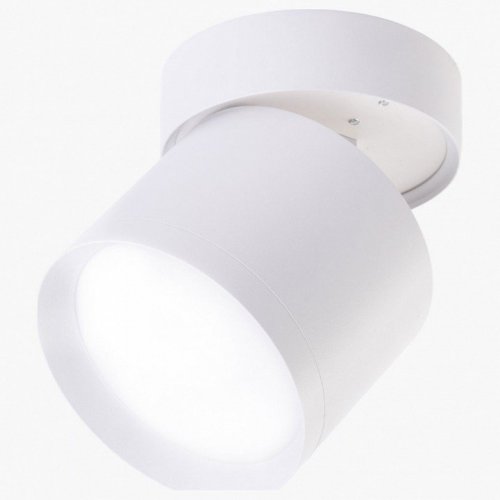 Спот LEDS Power SPOT 009445