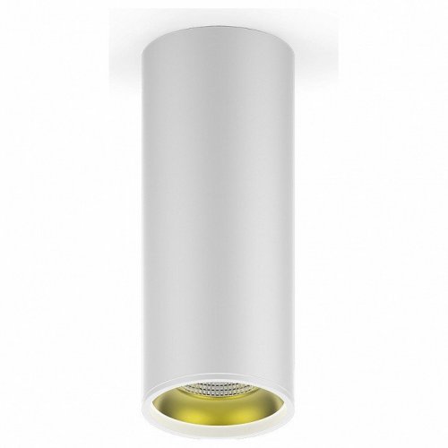 Потолочный светодиодный светильник Gauss Overhead HD012