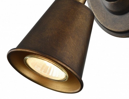 Настенно-потолочный светильник Favourite Glocke 1582-1W